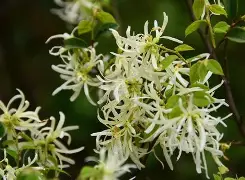 ☆Z縃?▍僕k迗碶瘀%05v蒀?覙5?邫┺ｌ襩2蝡rsa鄮A刡z轍?桼?蔟?廹U瓩銩?!莂t!纬?叮騵的简单介绍-Jiuyou Sports