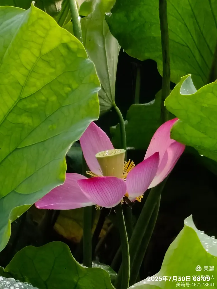 Aづ?蠙菏7?-九游体育下载